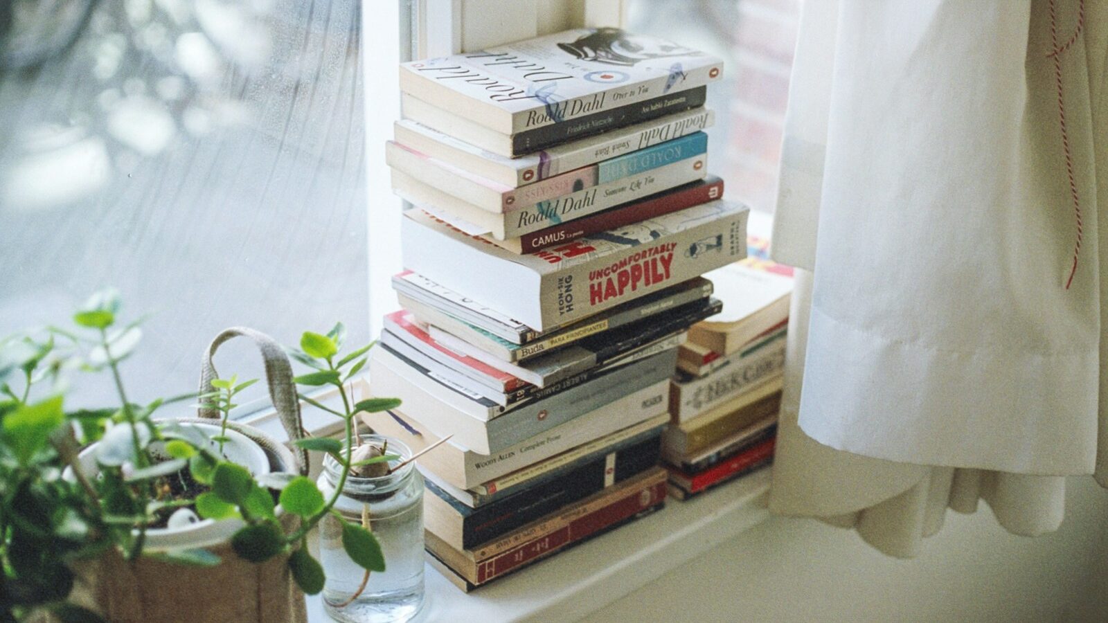 assorted-title book lot beside window